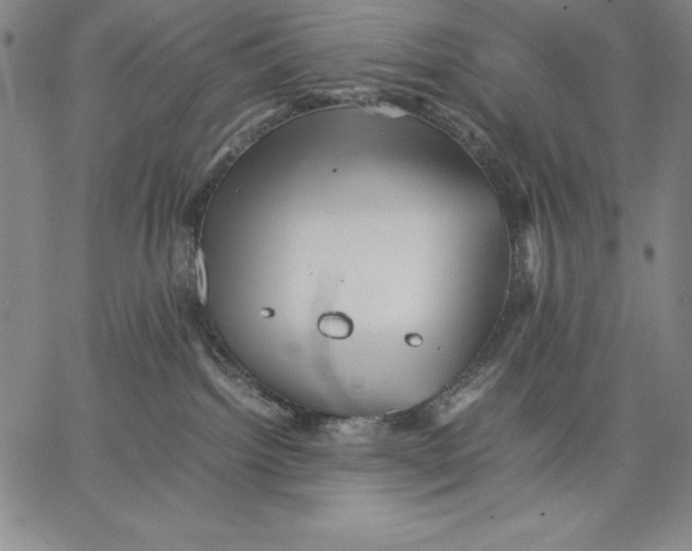 X0000066520092200604071603