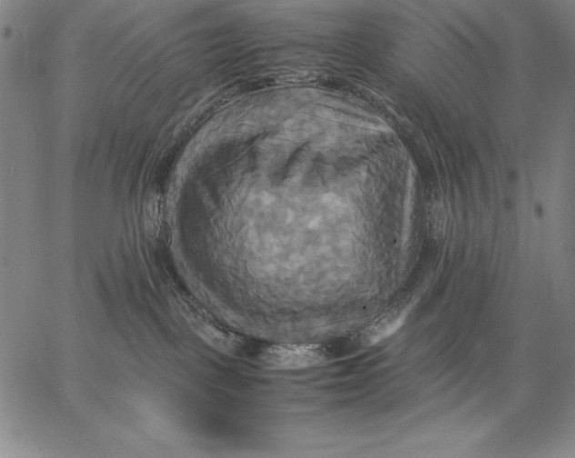 X0000066520093200604071603