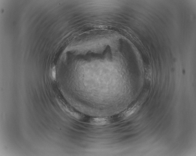 X0000066520095200604071603