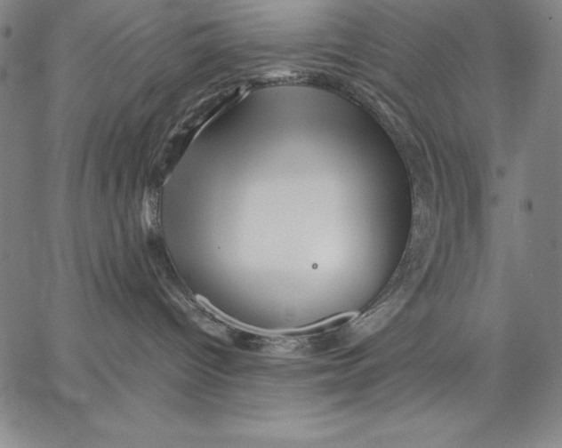 X0000066520096200604071603