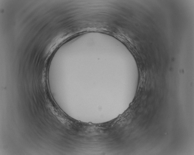 X0000066520098200604071602