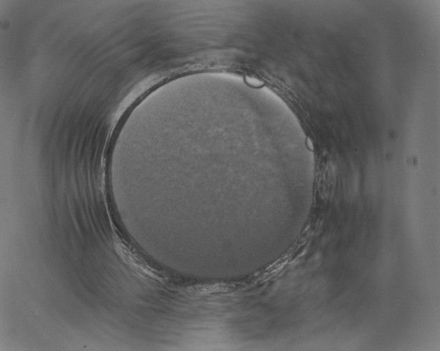 X0000066520100200604071602