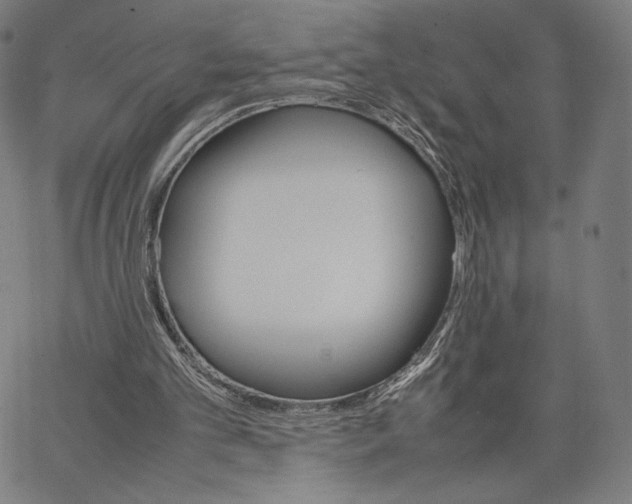 X0000066520101200604071602