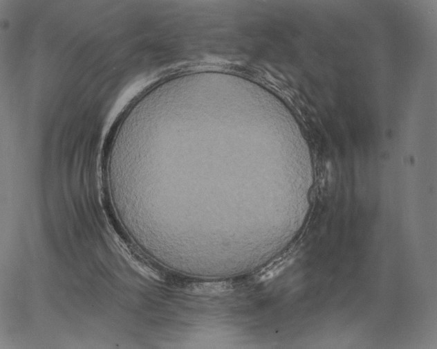 X0000066520102200604071602