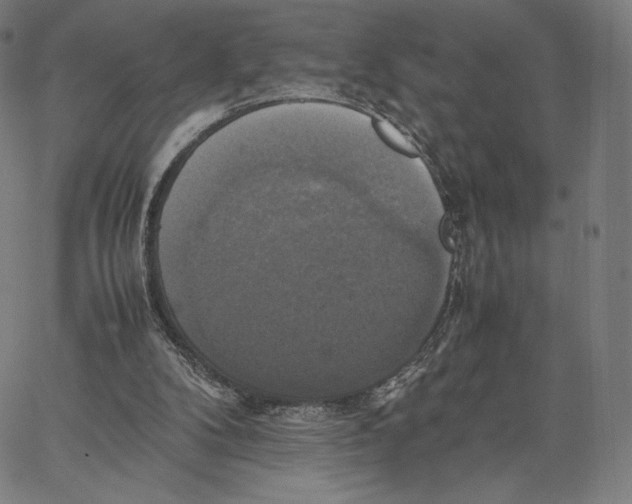 X0000066520104200604071602