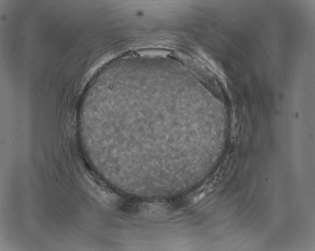 X0000066520107200604071602