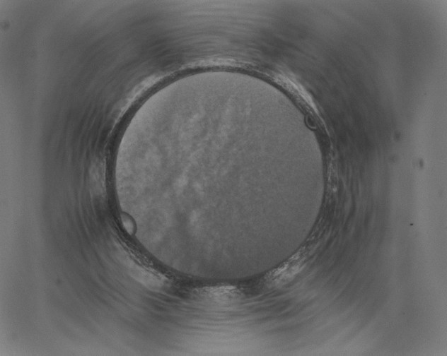 X0000066520108200604071602