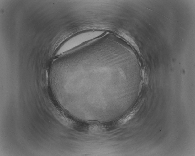 X0000066520109200604071602