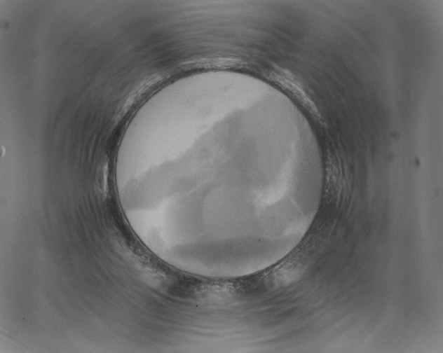 X0000066520110200604071602