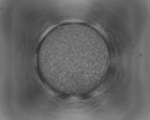 X0000066520111200604071602