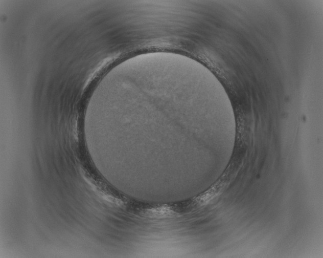 X0000066520112200604071602