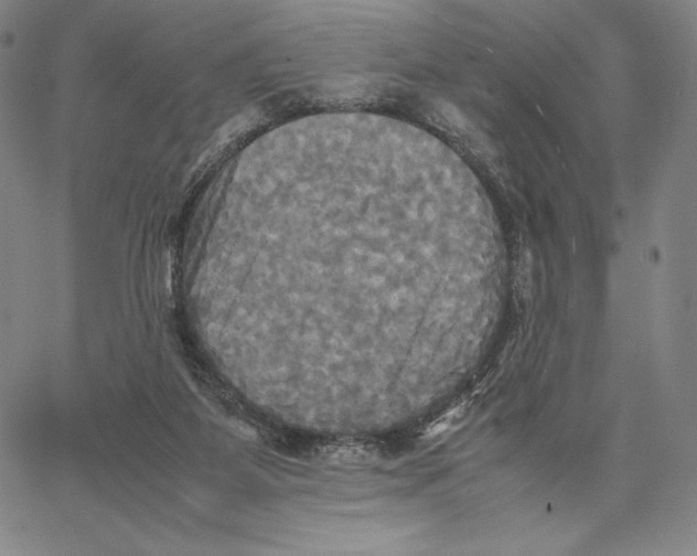 X0000066520115200604071602