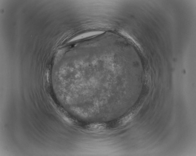 X0000066520117200604071601