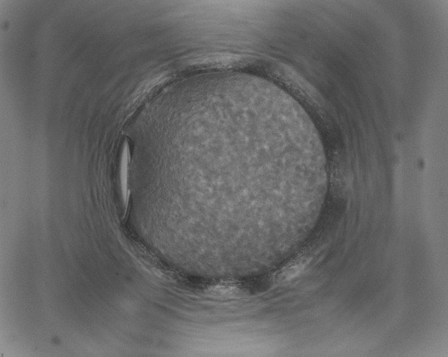 X0000066520119200604071601