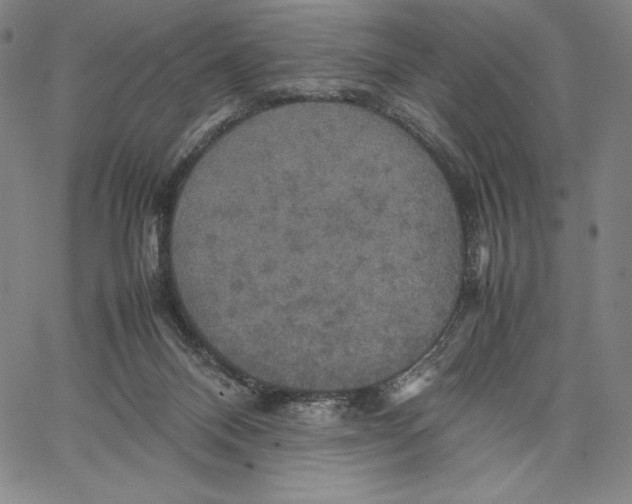 X0000066520120200604071601