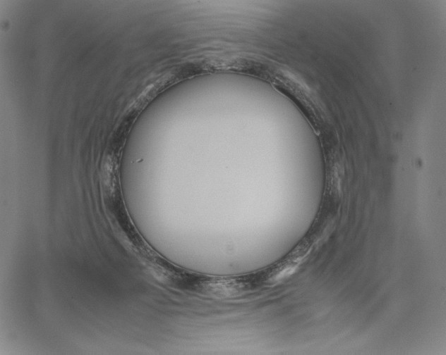 X0000066520121200604071601