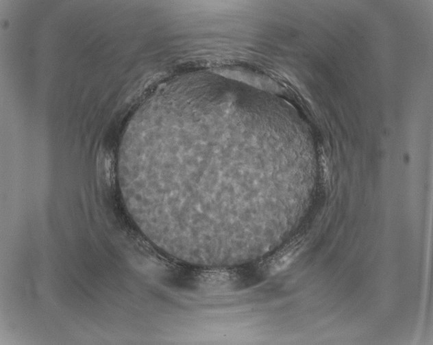 X0000066520123200604071601