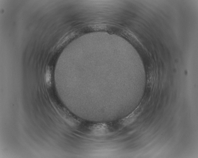 X0000066520124200604071601