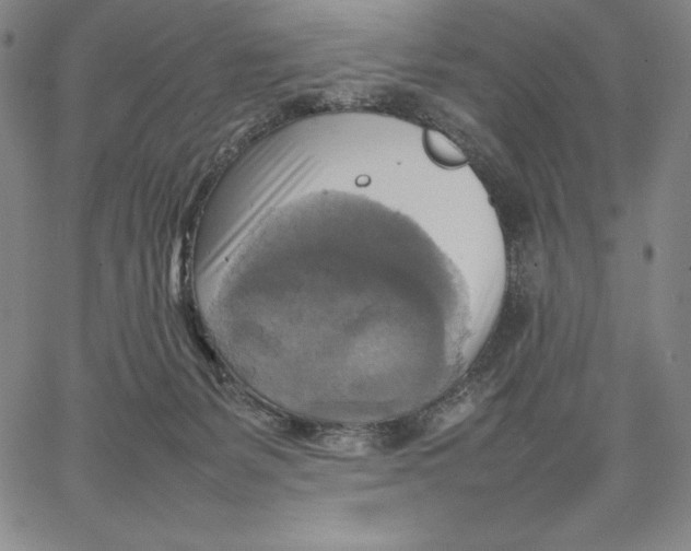 X0000066520127200604071601