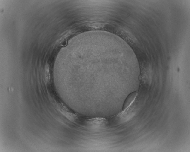 X0000066520128200604071601