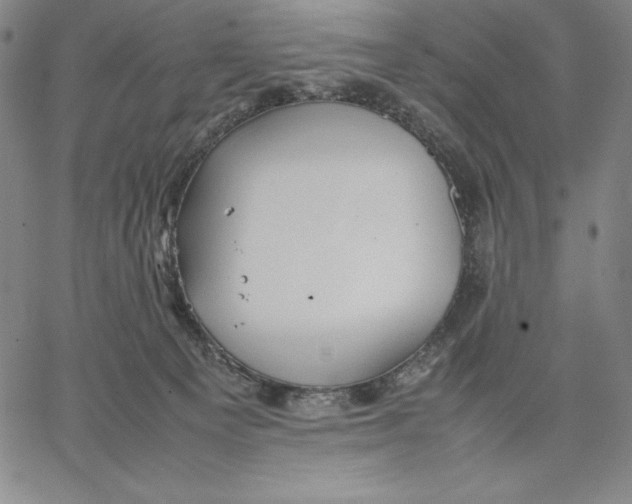 X0000066520129200604071601