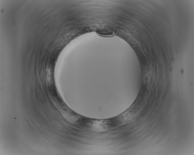 X0000066520130200604071601