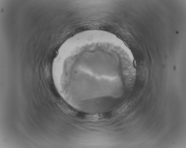 X0000066520131200604071601