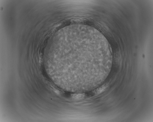 X0000066520135200604071601