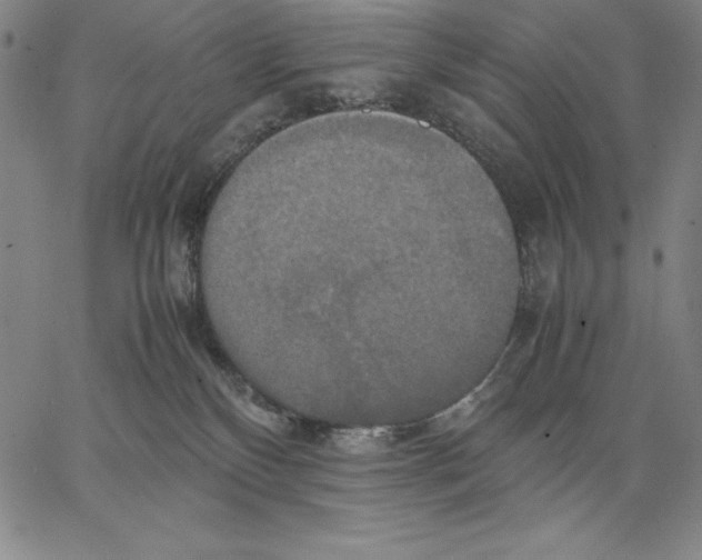 X0000066520136200604071601