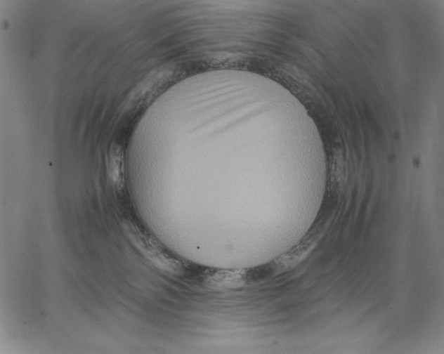 X0000066520138200604071601