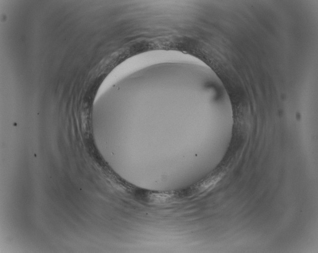 X0000066520139200604071601