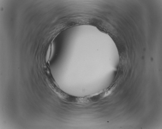 X0000066520141200604071601