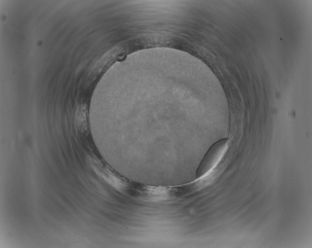 X0000066520144200604071601