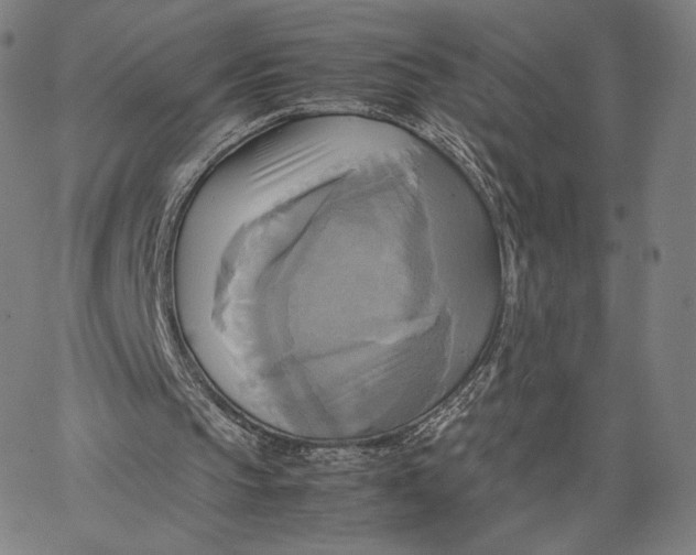 X0000066520145200604071600