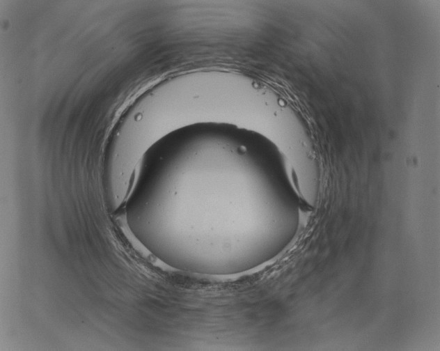 X0000066520146200604071600