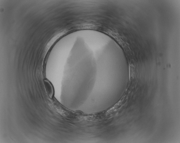 X0000066520147200604071600