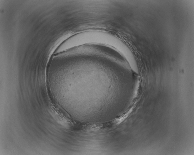 X0000066520148200604071600