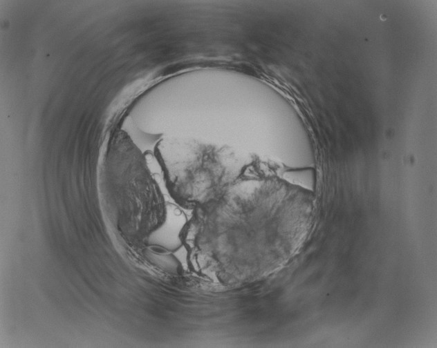 X0000066520149200604071600