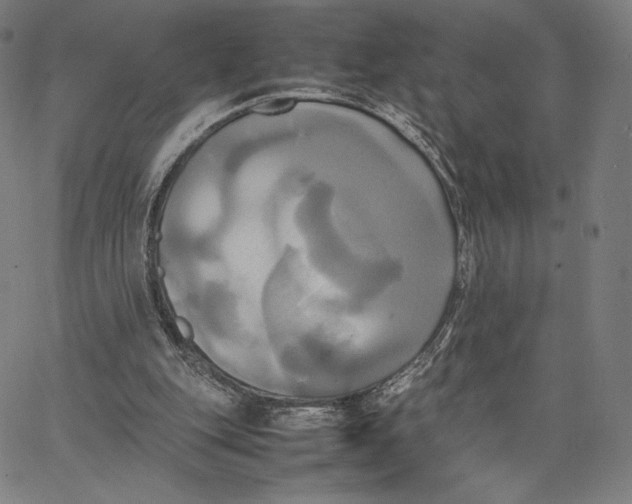 X0000066520151200604071600