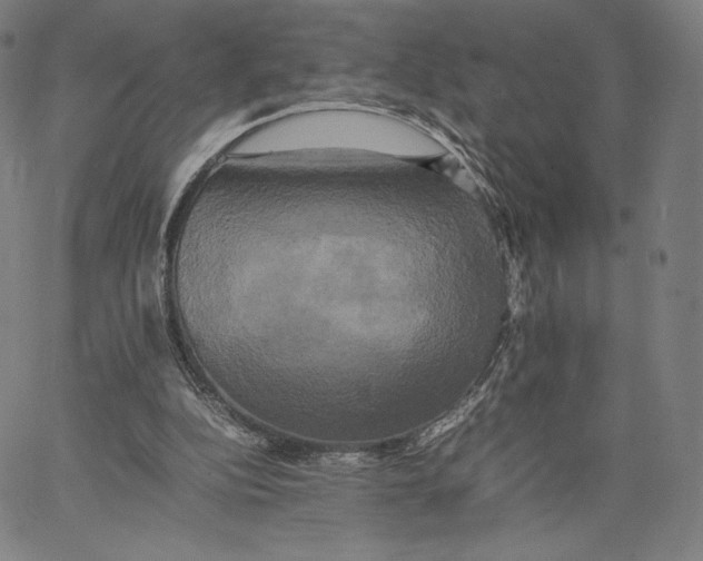 X0000066520152200604071600