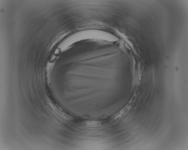 X0000066520154200604071600