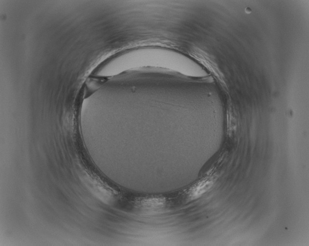 X0000066520156200604071600