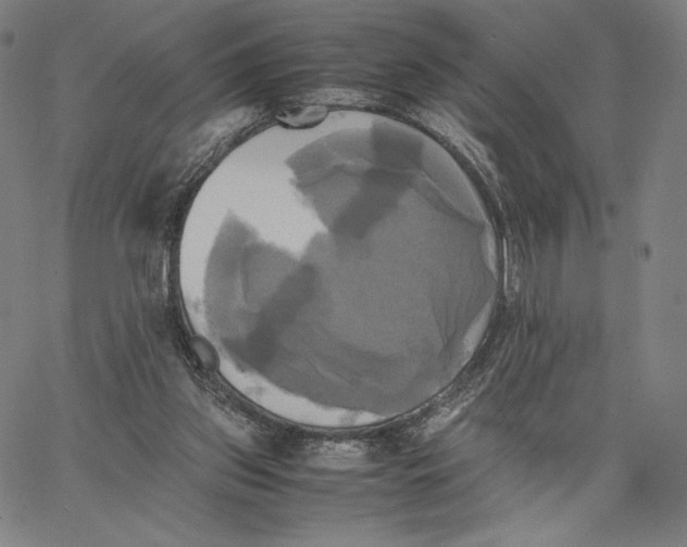 X0000066520157200604071600