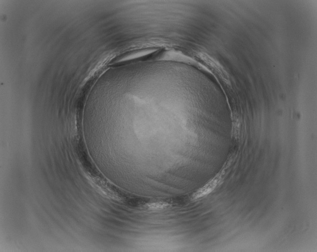 X0000066520158200604071600