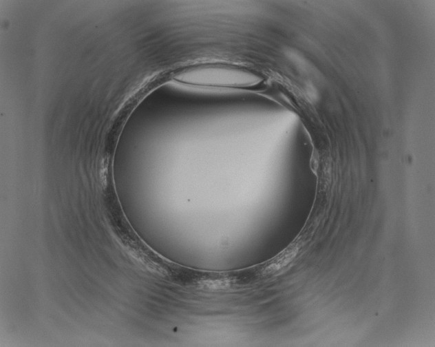 X0000066520160200604071601