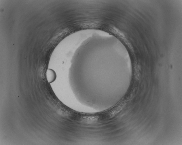 X0000066520161200604071601