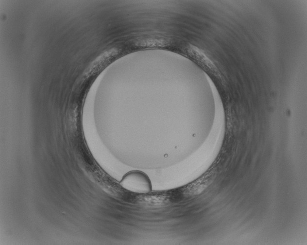 X0000066520163200604071601