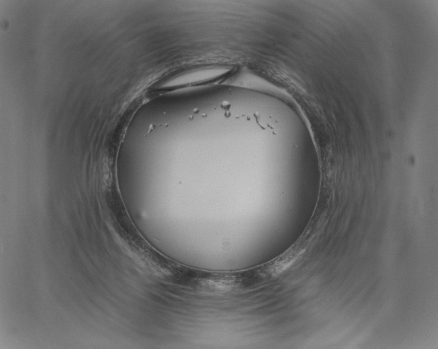 X0000066520164200604071601