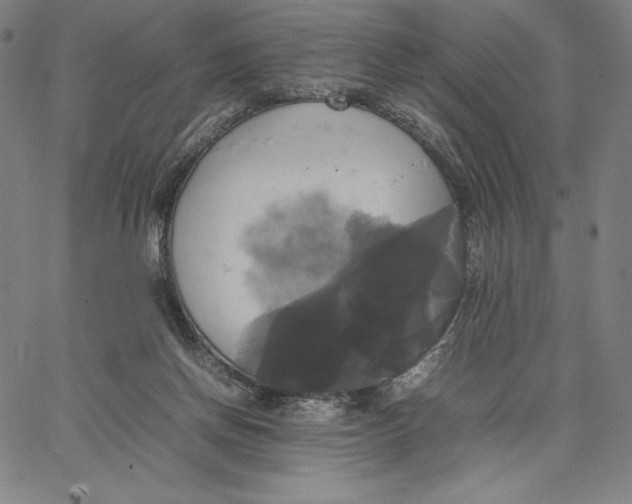 X0000066520166200604071601