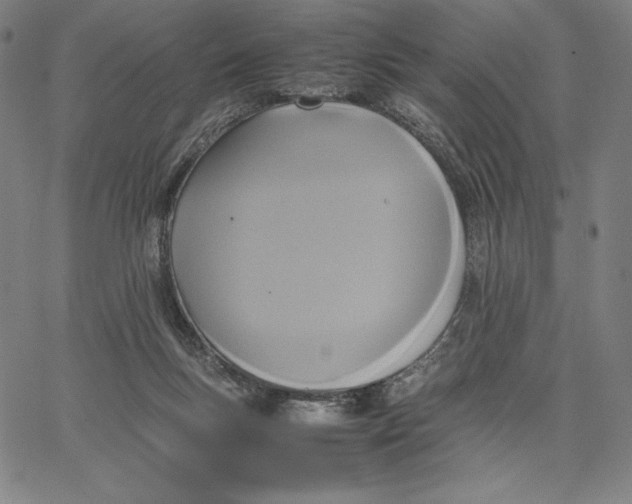 X0000066520167200604071601